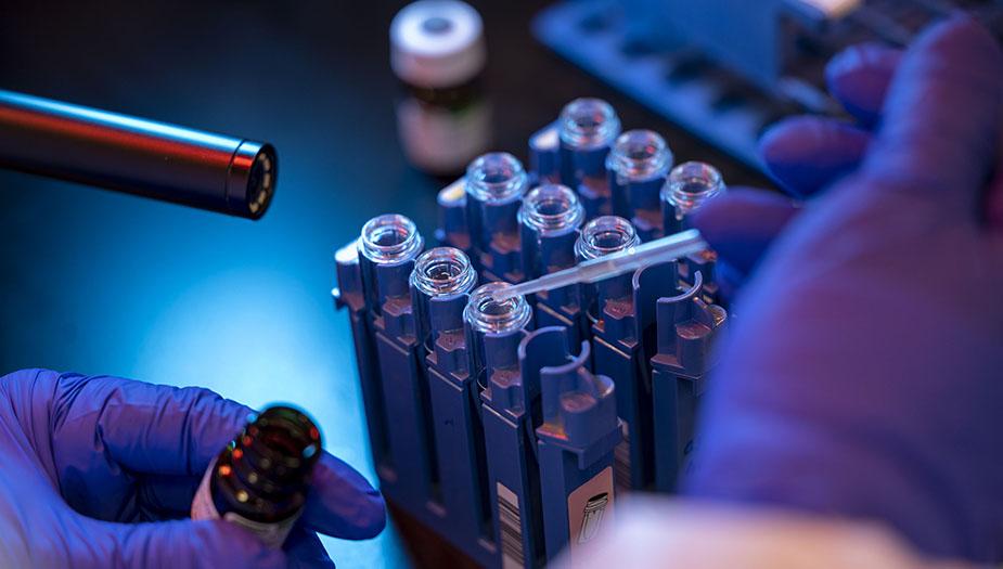 ands of a lab technician with a test tube and a rack with other samples ands of a lab technician with a test tube and a rack with other samples
