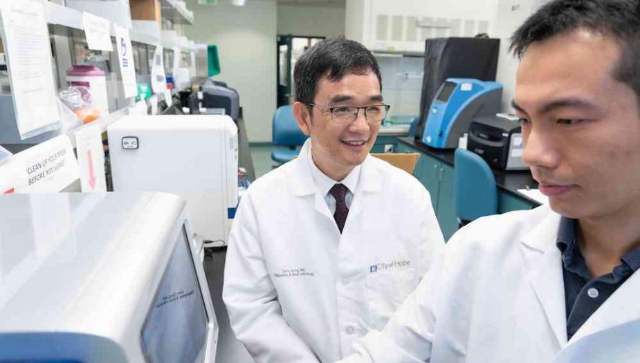 Defu Zeng Lab Principal Investigator