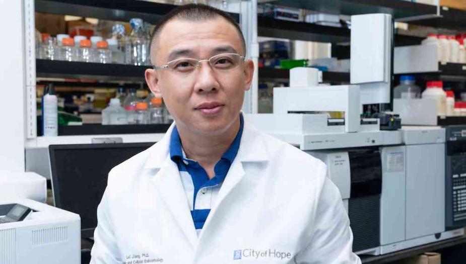 Lei Jiang Lab Principal Investigator