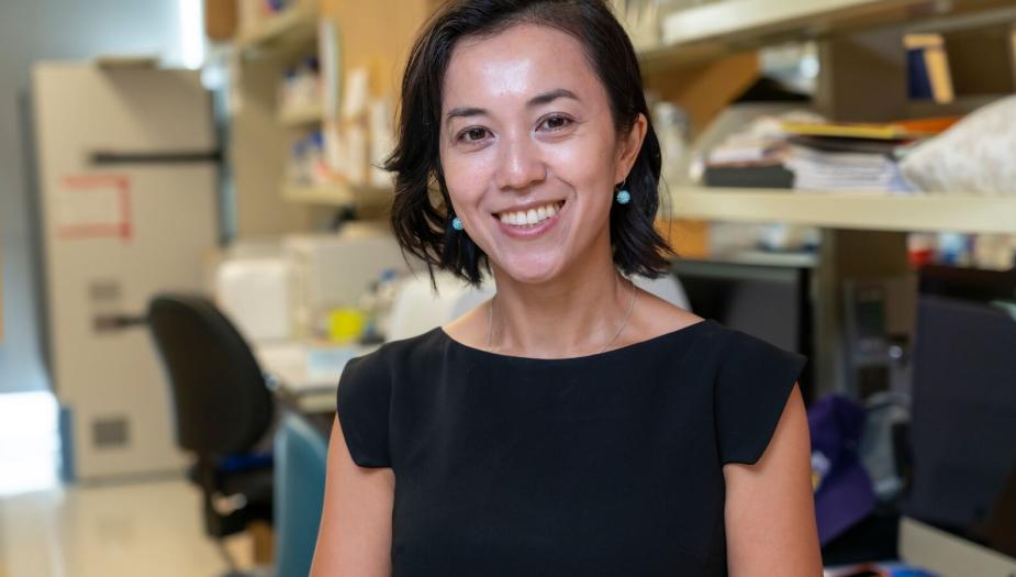 Principal Investigator: ZhenChen
