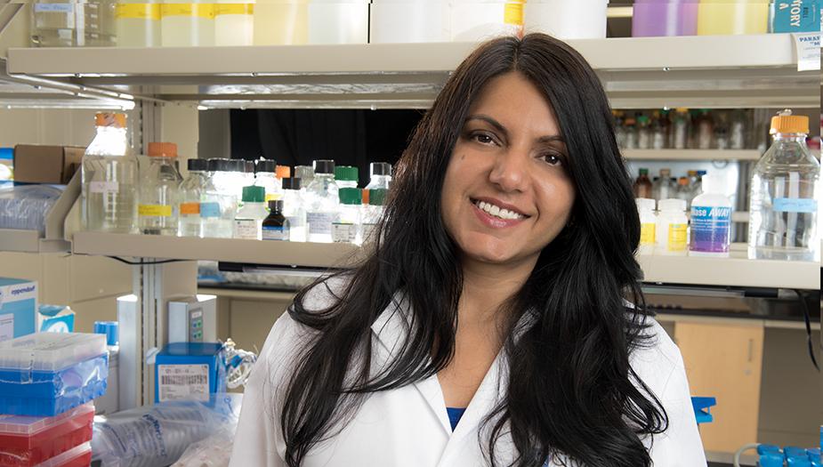 Principal Investigator, Sangeeta Dhawan, Ph.D.