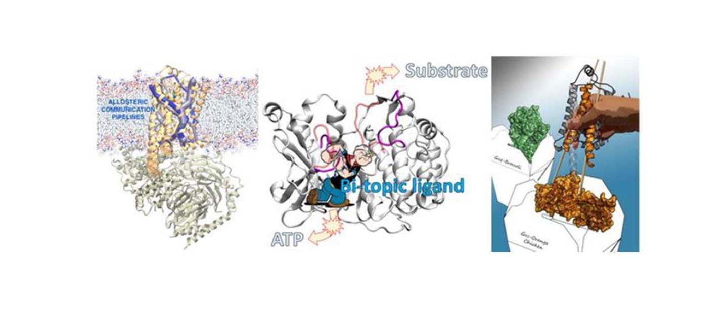 Vaidehi lab image 5