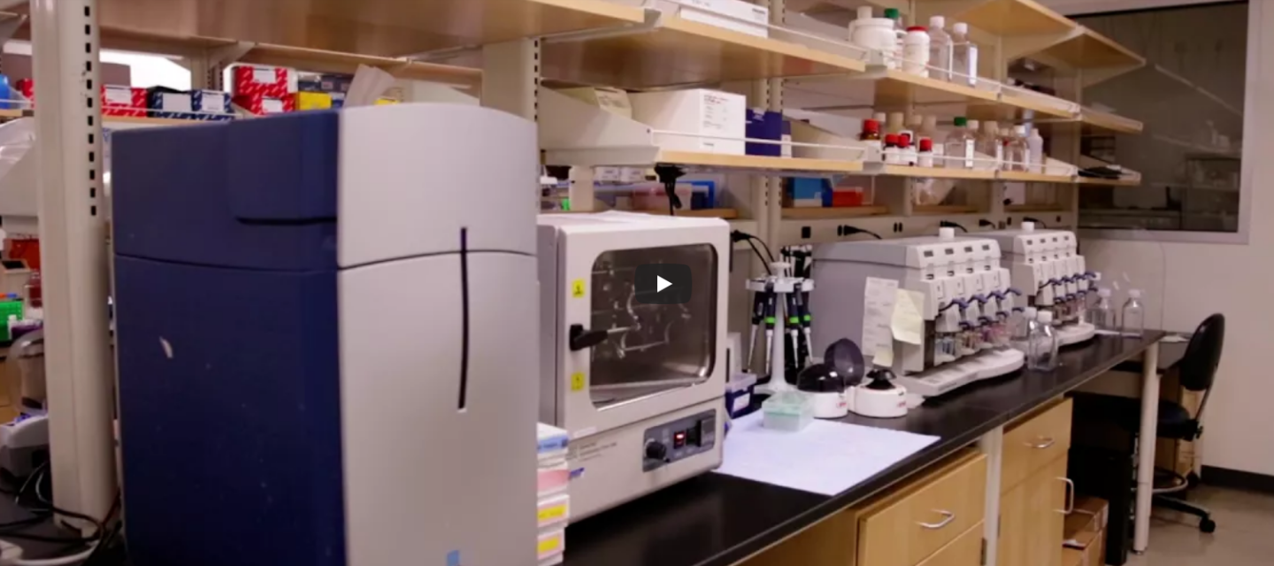 Integrative Genomics And Bioinformatics