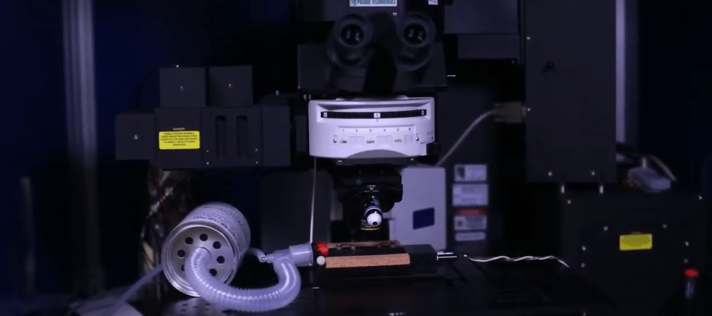 Meet the Light Microscopy Core