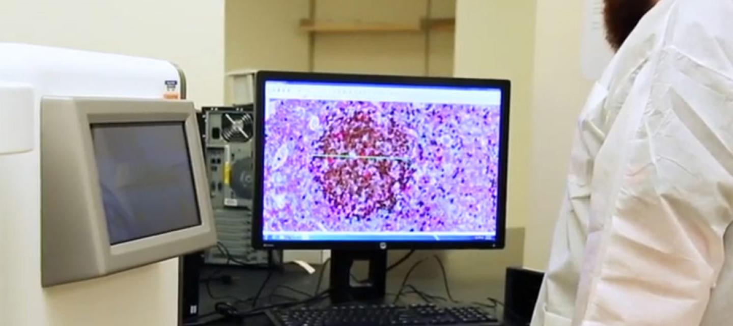Molecular Pathology Core facility