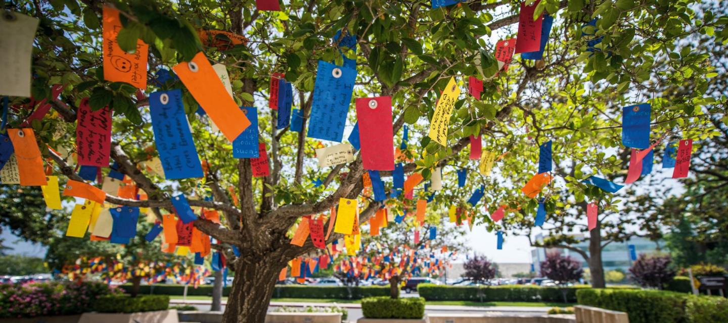 wishing tree with colorful wishing tags