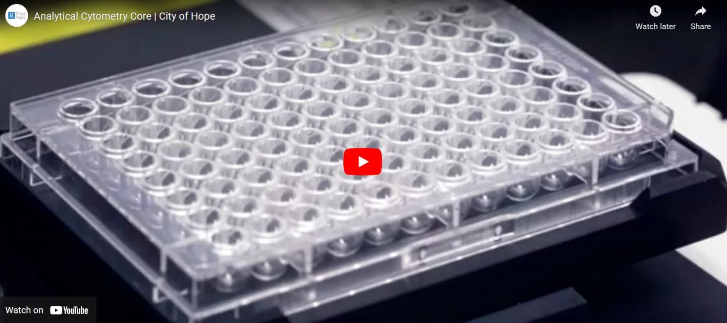 Analytical Cytometry Core | City of Hope