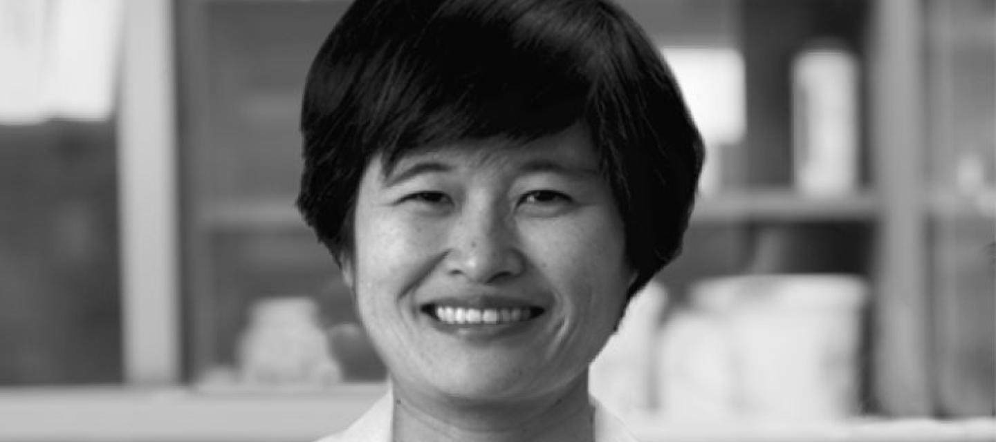 Dr. Yoko Fujita-Yamaguchi