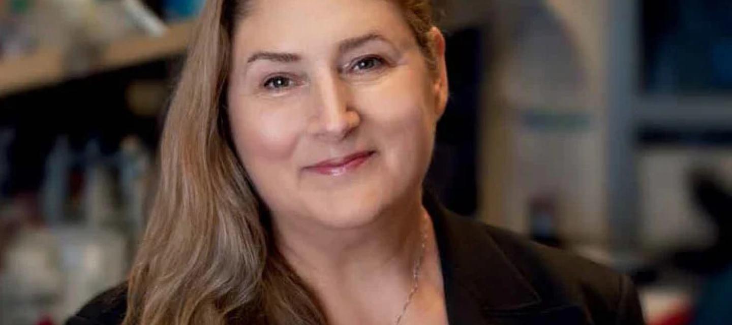 Debbie Thurmond named director of the Diabetes and Metabolism Research Institute