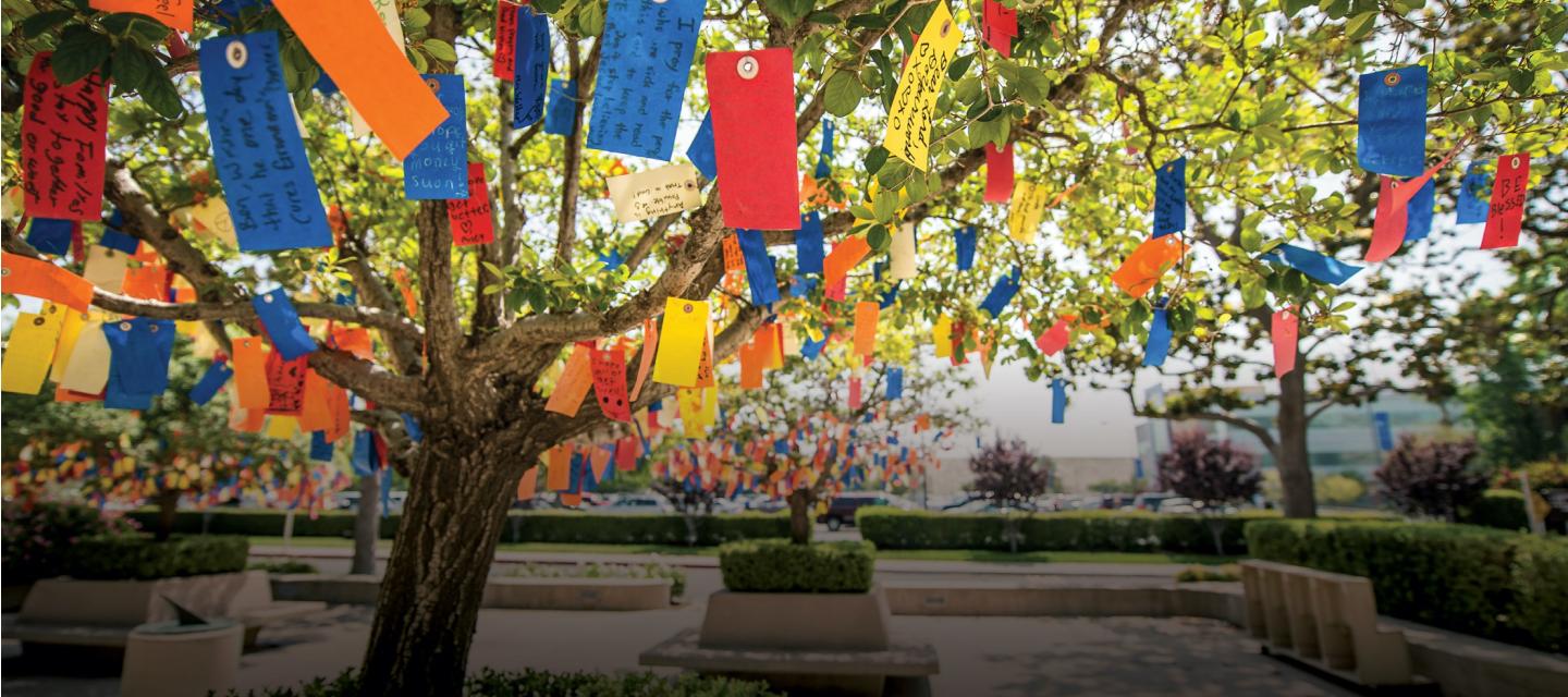 wishing tree with colorful wishing tags