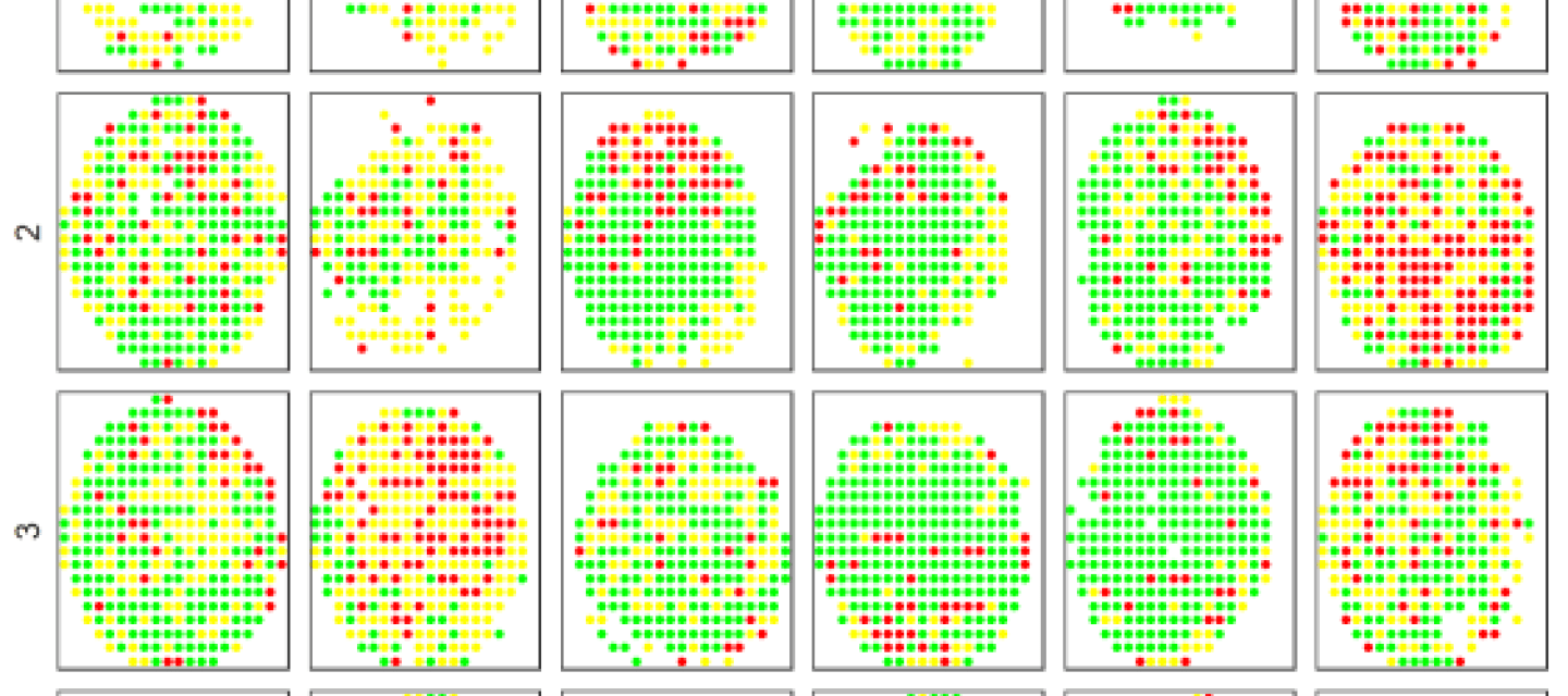 Organoid Microcontainer Experiment