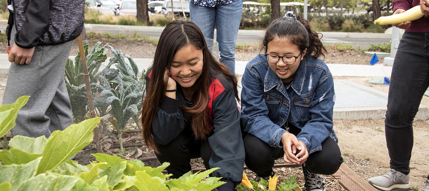 Students of the Hilton Science Nutrition program learning to grow vegetable