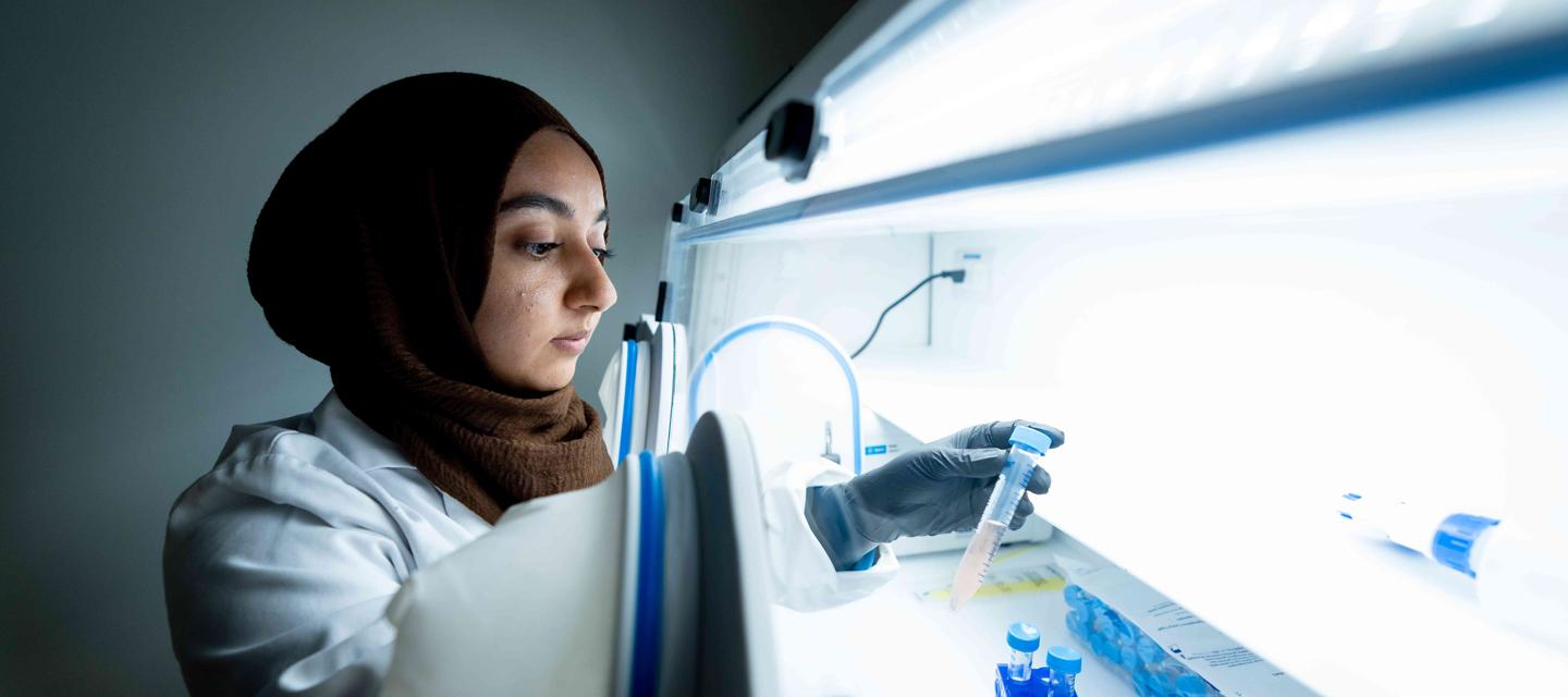 Jenq Lab member