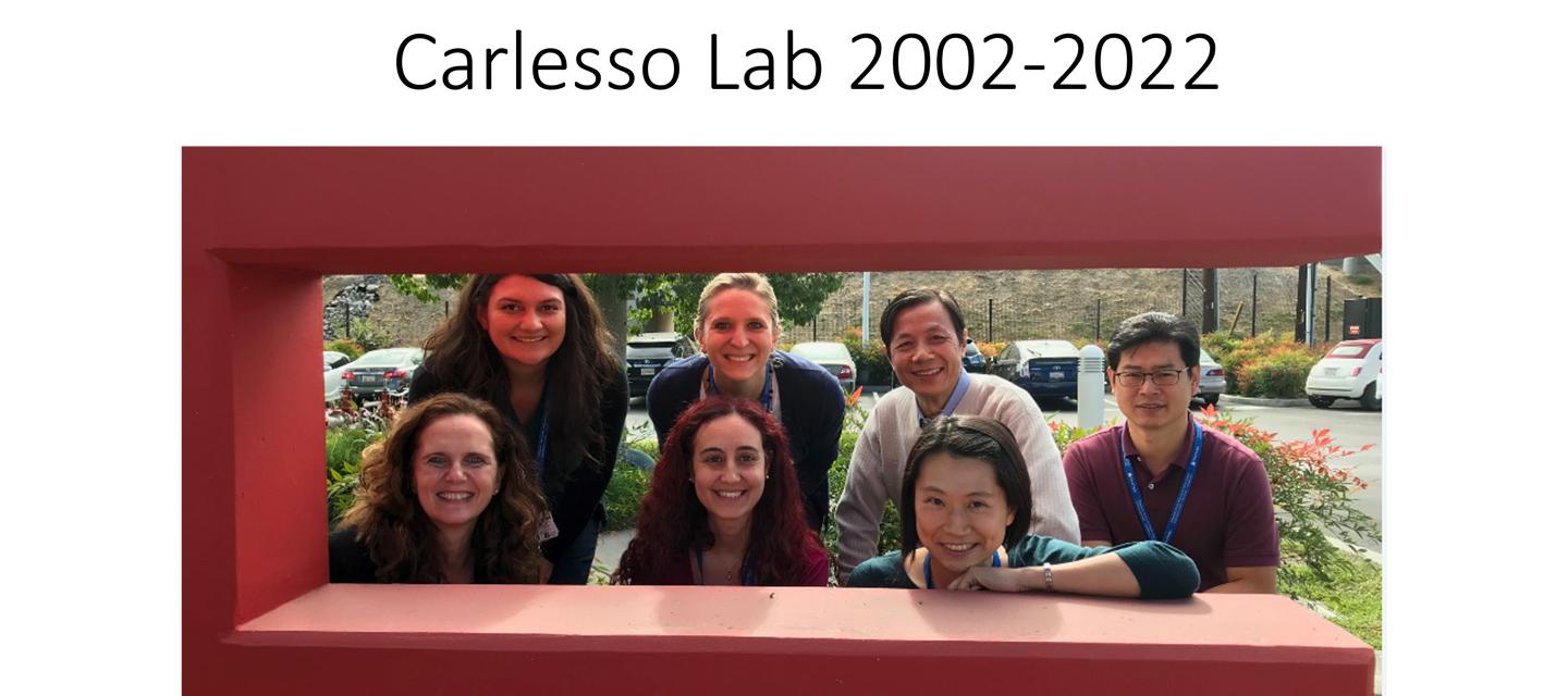 Nadia Carlesso Lab 2002-2022