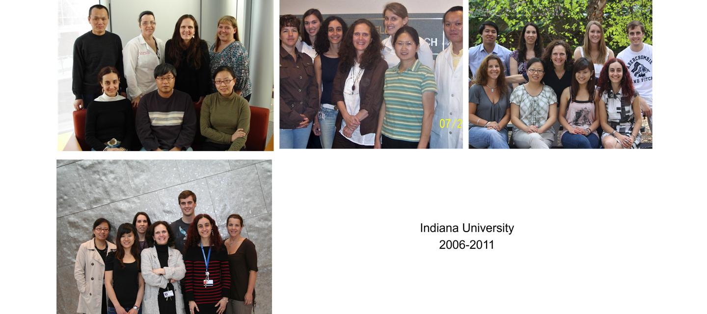 Nadia Carlesso lab Indiana University 2006-2011