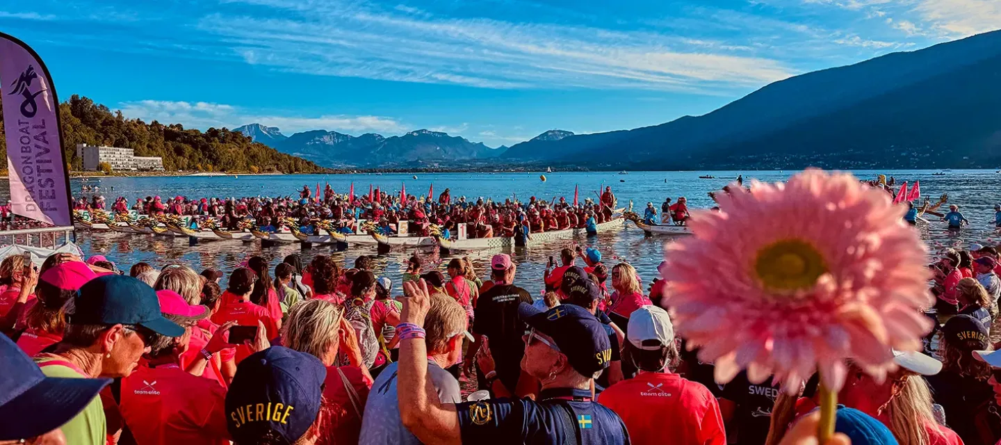 Dragon boat teams gathered for a breast cancer paddling event