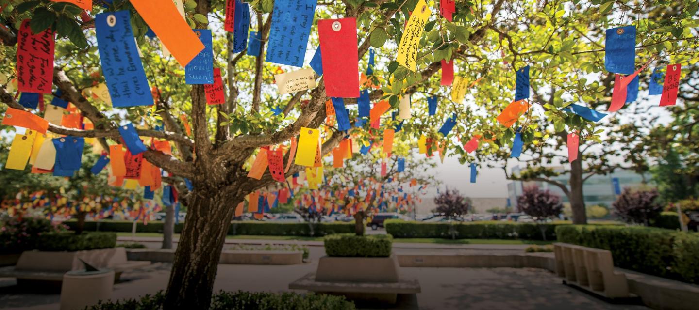 wishing tree with colorful wishing tags