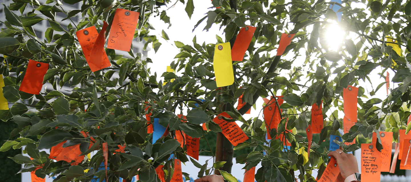 City of Hope’s Wishing Trees bloom with messages of healing