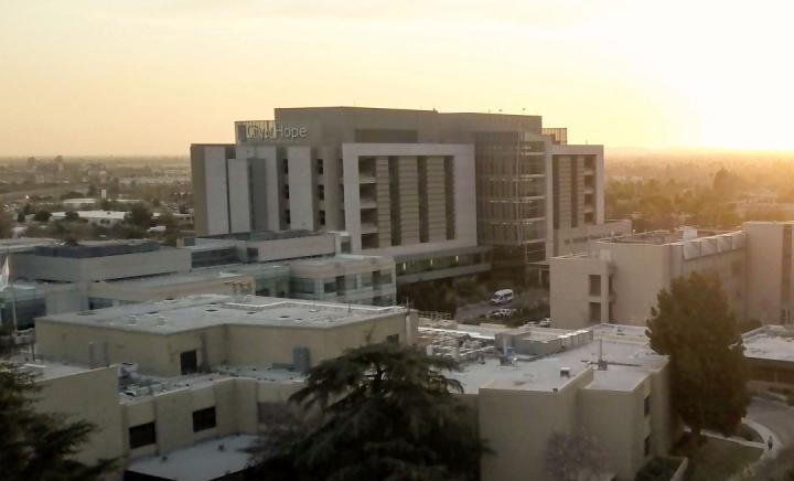 Bird view of Beckman Research Institute