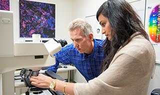 Two researchers working