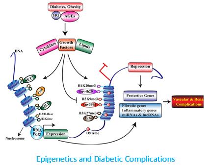 Epigenetics and Diabetic Complications