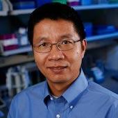 Headshot of Haiyong Han