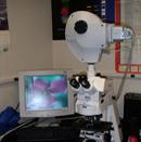 ServicesAnd Equipment_Applied Spectral Imaging SKY System