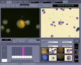 ServicesAnd Equipment_Bioview Duet
