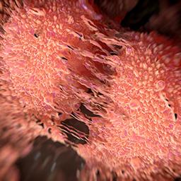 Breakthroughs - prostate cancer 2016 - 256x256 Breakthroughs - prostate cancer 2016 - 256x256