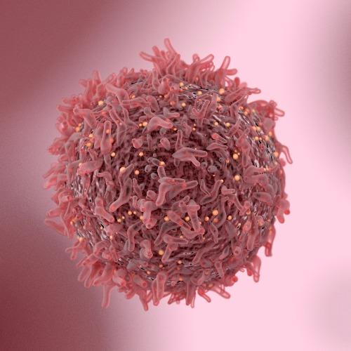 Breast Cancer Cell 500X500 Breast Cancer Cell 500X500