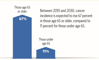 Cancer and Aging Research Program infographic