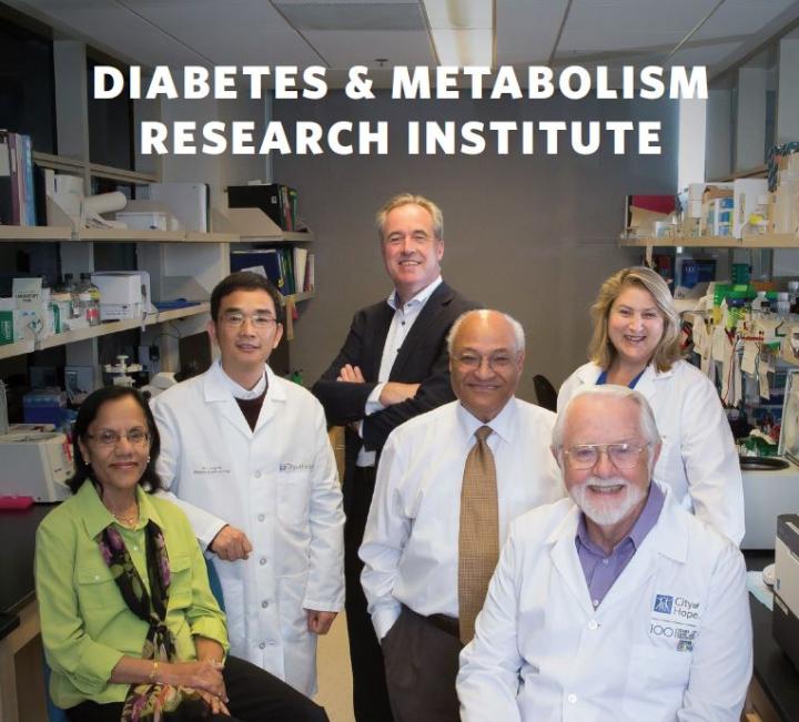 Diabetes and Metabolism Research Institute Team