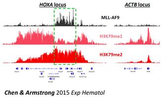 Division of Epigenetic and Transcriptional Engineering Fig 3