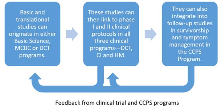 Comprehensive Cancer Center Research Programs 2016