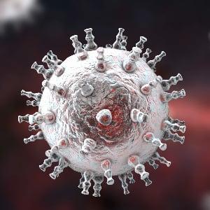 Kaposis sarcoma virus
