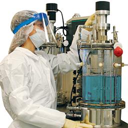 GMP Facility - GMP Facility