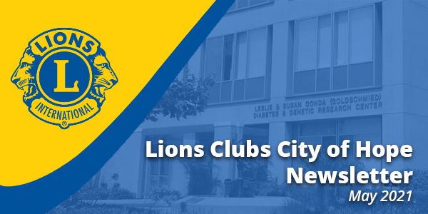 Lions Hero Newsletter Banner May 2021