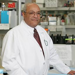 breakthroughs - world diabetes day II