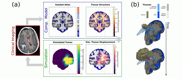 Mathematical Oncology Research Areas Fig 1