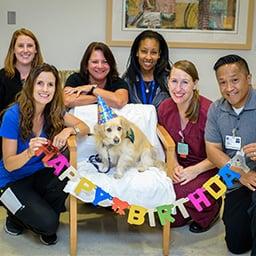 Pet therapy team