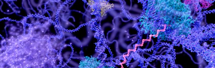 Spirals RNA - Center for RNA Biology and Therapeutics