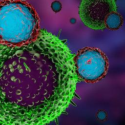 cancer cell