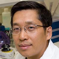 Qiang Lu, Ph.D.