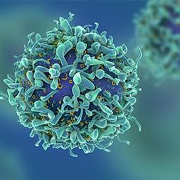 breakthroughs - t cells breakthroughs - t cells