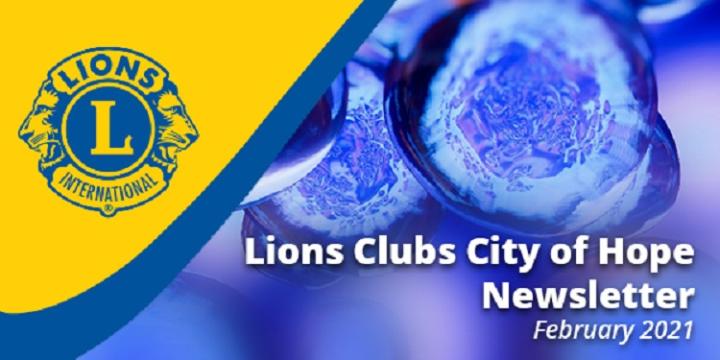 Lions Newsletter Hero Header Banner February 2021