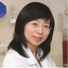Yanhong Shi M.D.