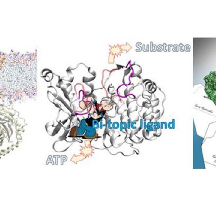 Vaidehi lab image 5