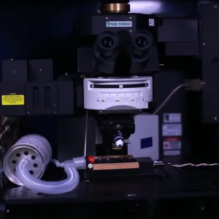 Meet the Light Microscopy Core
