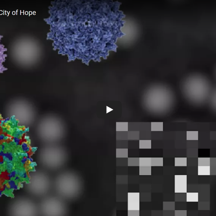 video screenshot