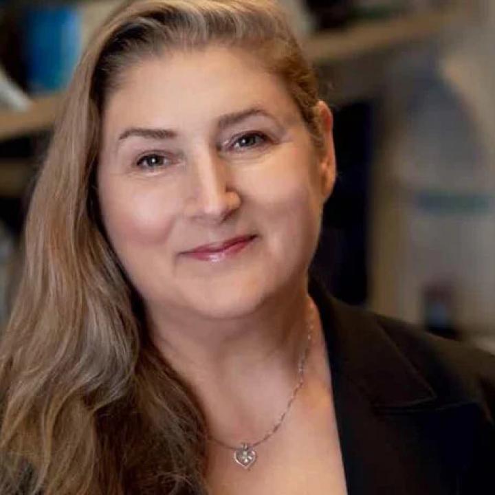 Debbie Thurmond named director of the Diabetes and Metabolism Research Institute